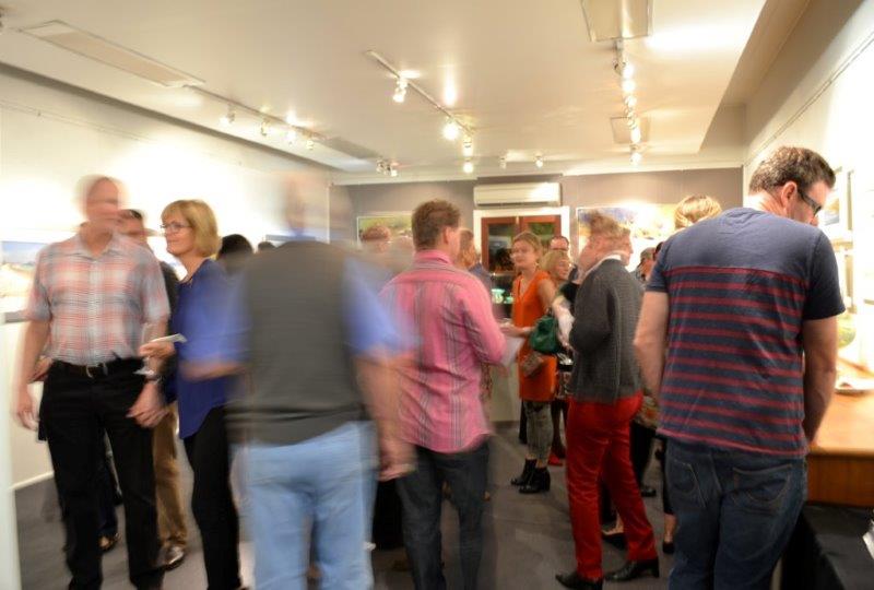 Light and Air Exhibition at Red Hill Gallery 2014 - Opening Night 01