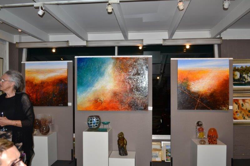 Light and Air Exhibition at Red Hill Gallery 2014 - Opening Night 04