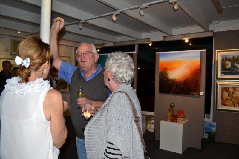 Light and Air Exhibition at Red Hill Gallery 2014 - Opening Night 05