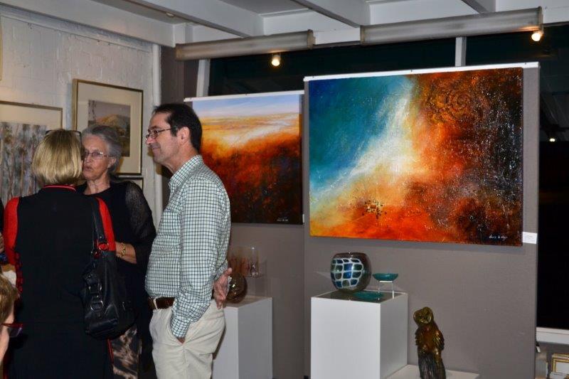 Light and Air Exhibition at Red Hill Gallery 2014 - Opening Night 06