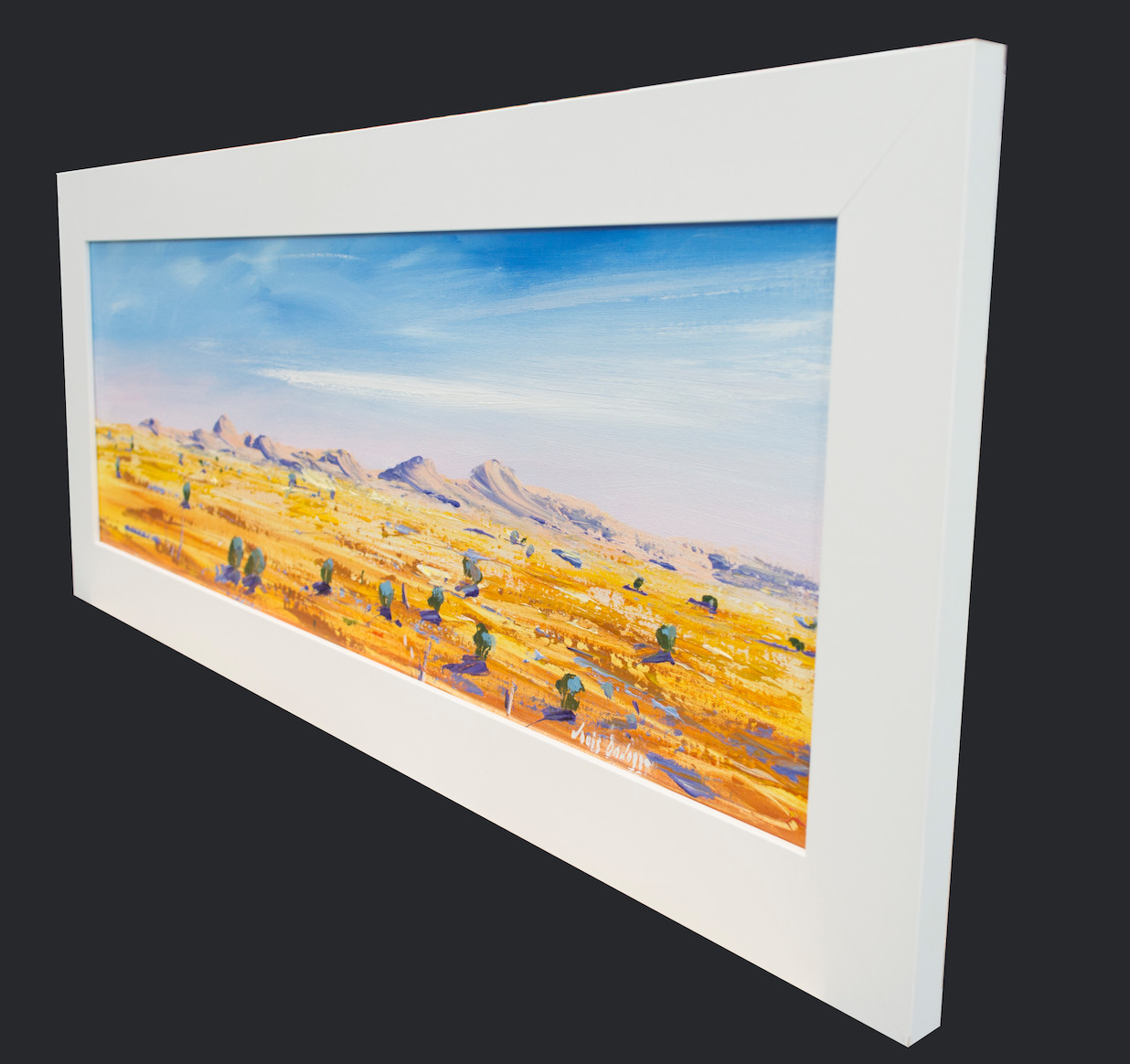 Framed Side View Of Landscape Painting "East Mac Donnell Ranges Central Australia" By Louis Dalozzo
