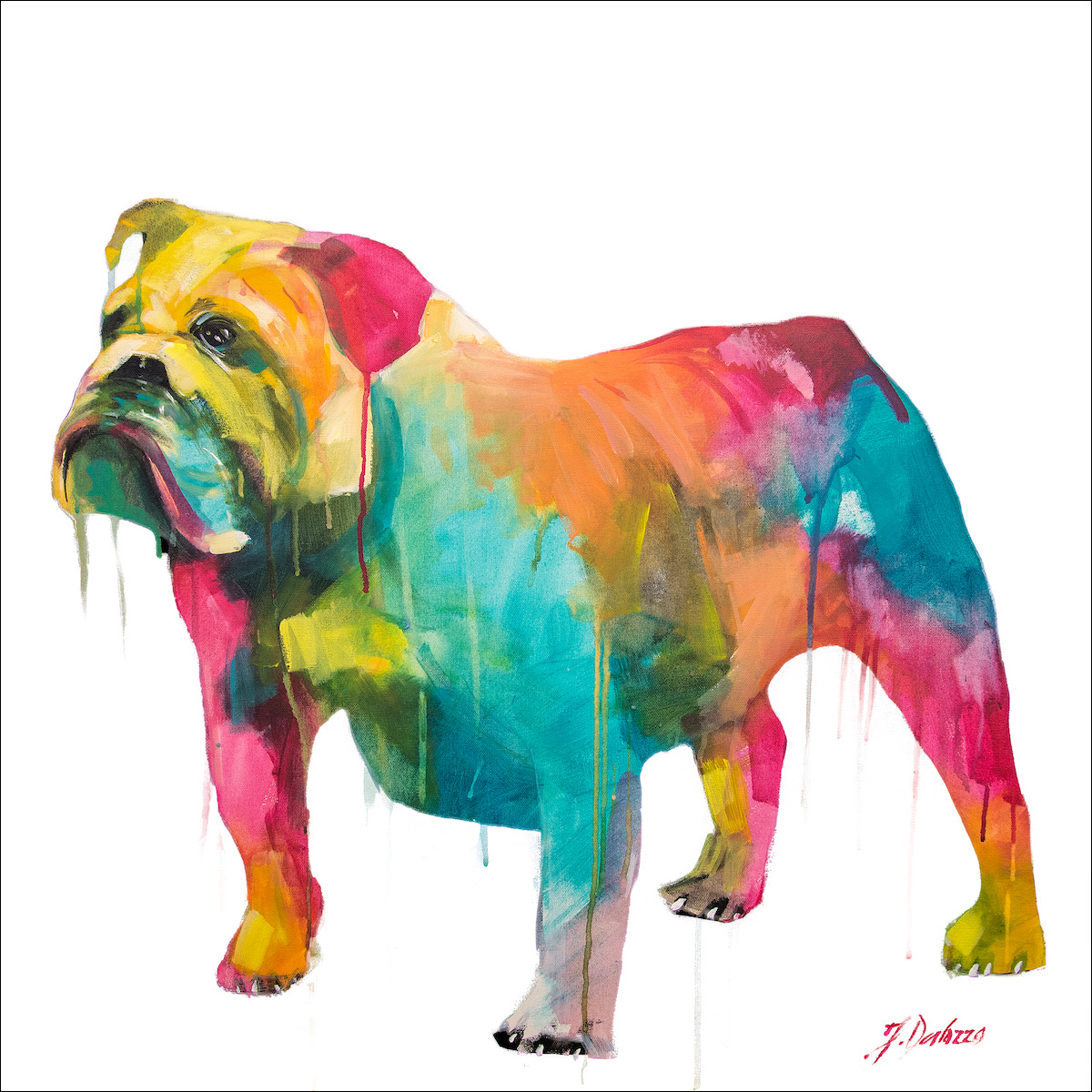 Fluro Animal Animal "English Bulldog" On White Variant From Judith Dalozzo Artwork
