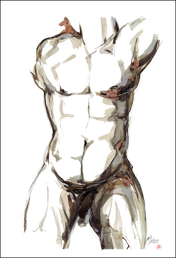 True Semblance Nude Canvas Print "Male Torso" by Judith Dalozzo